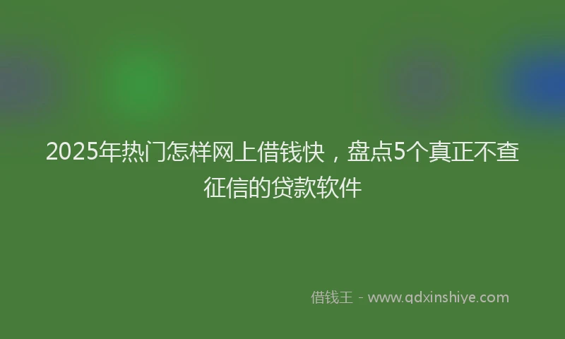 2025年热门怎样网上借钱快，盘点5个真正不查征信的贷款软件