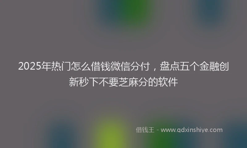 2025年热门怎么借钱微信分付，盘点五个金融创新秒下不要芝麻分的软件