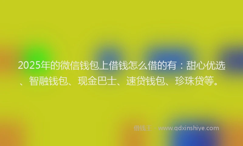 2025年的微信钱包上借钱怎么借的有：甜心优选、智融钱包、现金巴士、速贷钱包、珍珠贷等。