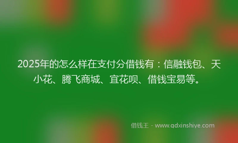 2025年的怎么样在支付分借钱有：信融钱包、天小花、腾飞商城、宜花呗、借钱宝易等。
