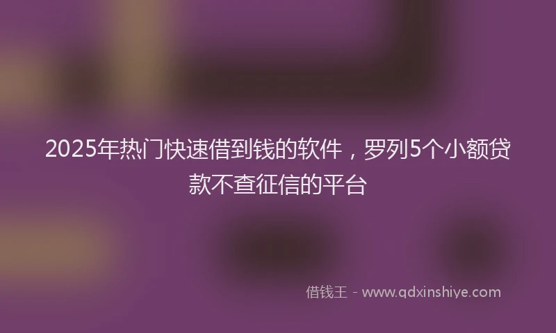 2025年热门快速借到钱的软件，罗列5个小额贷款不查征信的平台