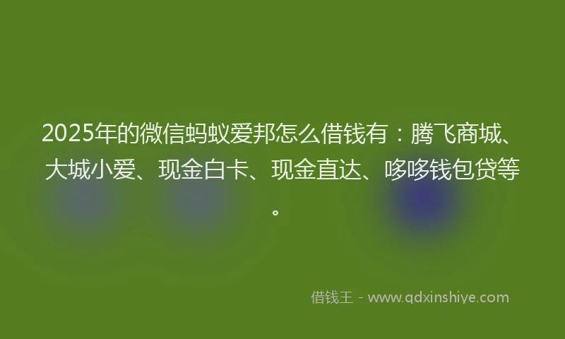 2025年的微信蚂蚁爱邦怎么借钱有：腾飞商城、大城小爱、现金白卡、现金直达、哆哆钱包贷等。