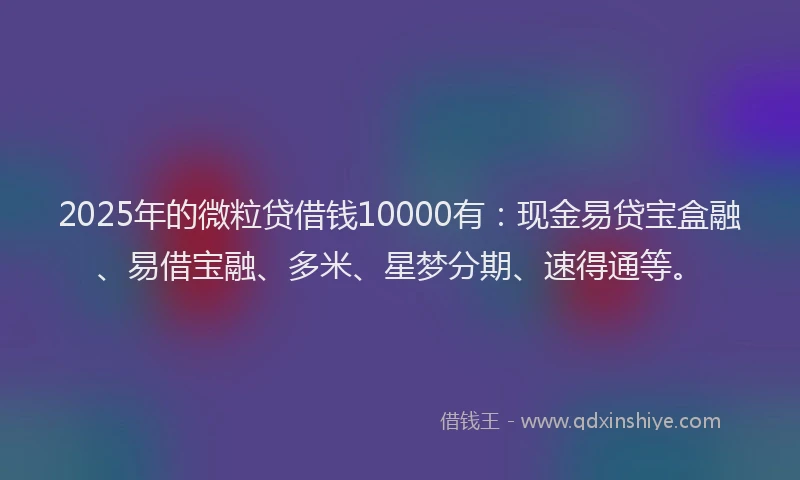 2025年的微粒贷借钱10000有：现金易贷宝盒融、易借宝融、多米、星梦分期、速得通等。