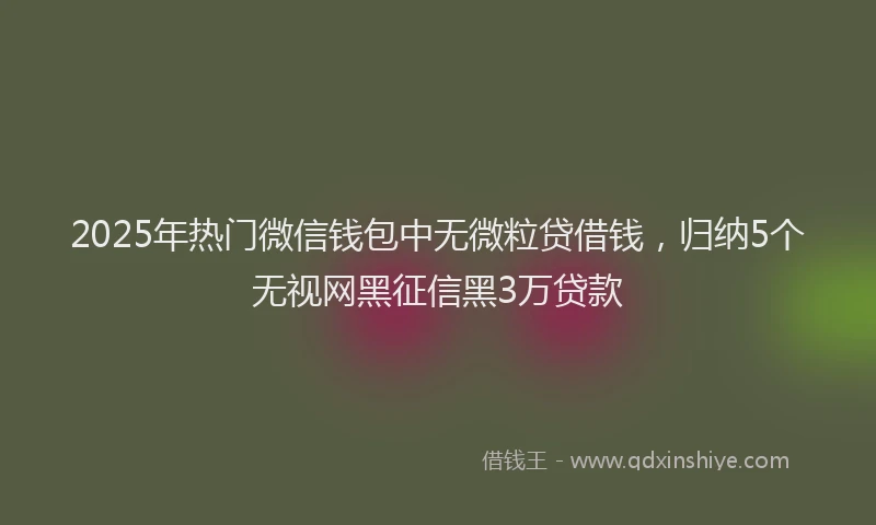 2025年热门微信钱包中无微粒贷借钱，归纳5个无视网黑征信黑3万贷款