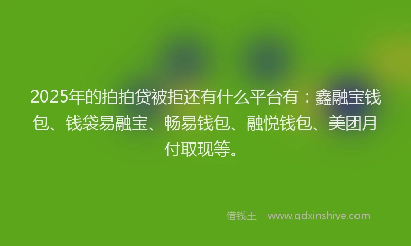 2025年的拍拍贷被拒还有什么平台有：鑫融宝钱包、钱袋易融宝、畅易钱包、融悦钱包、美团月付取现等。
