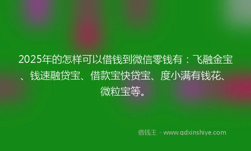 2025年的怎样可以借钱到微信零钱有：飞融金宝、钱速融贷宝、借款宝快贷宝、度小满有钱花、微粒宝等。