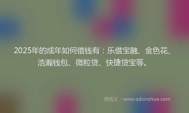 2025年的成年如何借钱有：乐借宝融、金色花、浩瀚钱包、微粒贷、快捷贷宝等。
