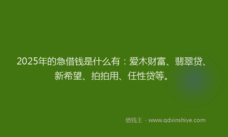 2025年的急借钱是什么有：爱木财富、翡翠贷、新希望、拍拍用、任性贷等。