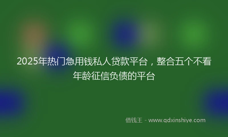 2025年热门急用钱私人贷款平台，整合五个不看年龄征信负债的平台