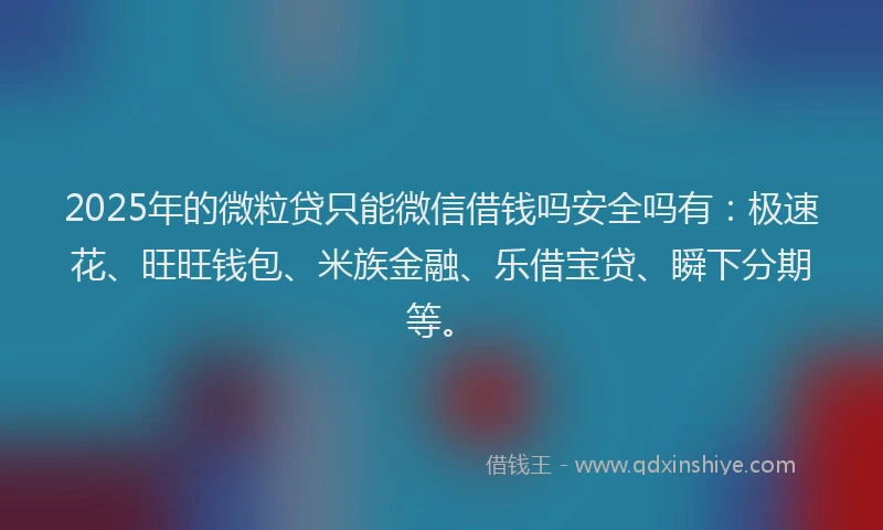 2025年的微粒贷只能微信借钱吗安全吗有：极速花、旺旺钱包、米族金融、乐借宝贷、瞬下分期等。