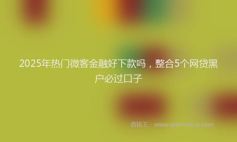 2025年热门微客金融好下款吗，整合5个网贷黑户必过口子