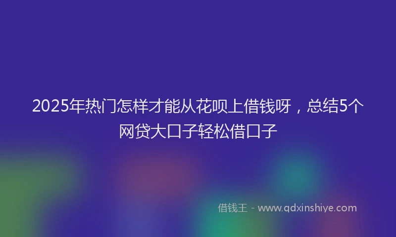 2025年热门怎样才能从花呗上借钱呀，总结5个网贷大口子轻松借口子