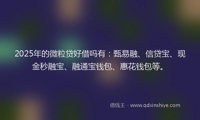2025年的微粒贷好借吗有：甄易融、信贷宝、现金秒融宝、融通宝钱包、惠花钱包等。