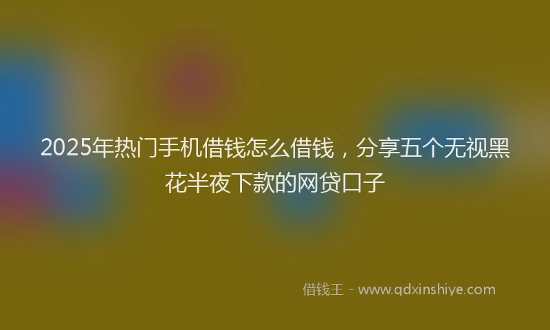 2025年热门手机借钱怎么借钱，分享五个无视黑花半夜下款的网贷口子