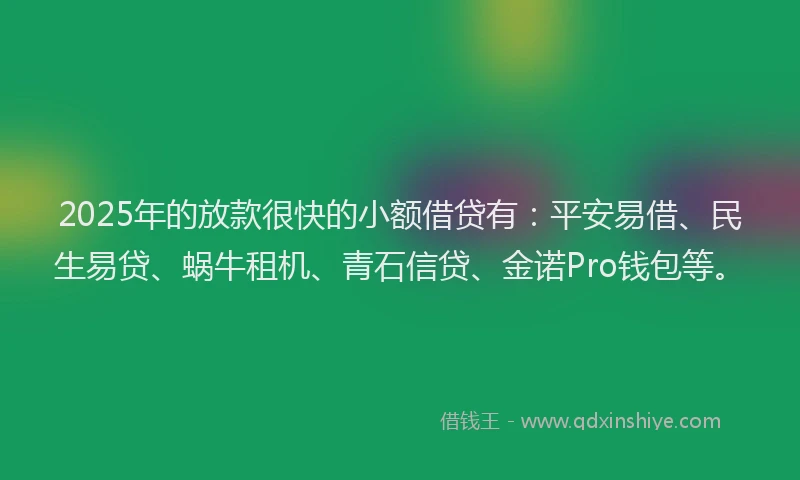 2025年的放款很快的小额借贷有：平安易借、民生易贷、蜗牛租机、青石信贷、金诺Pro钱包等。