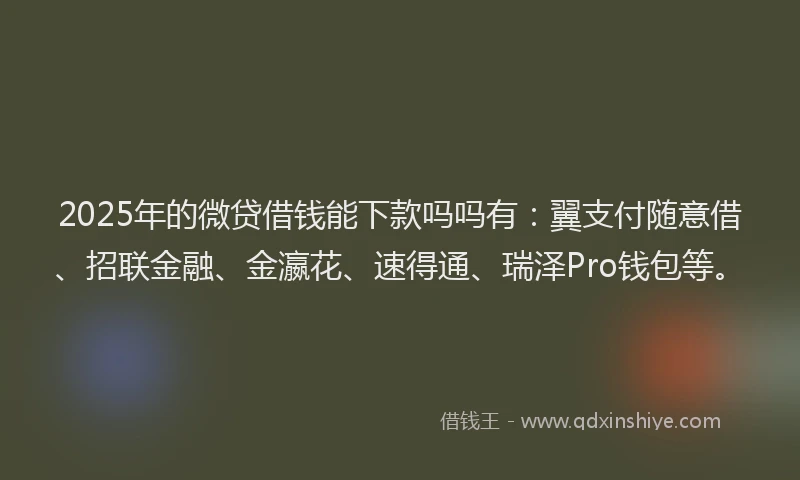 2025年的微贷借钱能下款吗吗有：翼支付随意借、招联金融、金瀛花、速得通、瑞泽Pro钱包等。