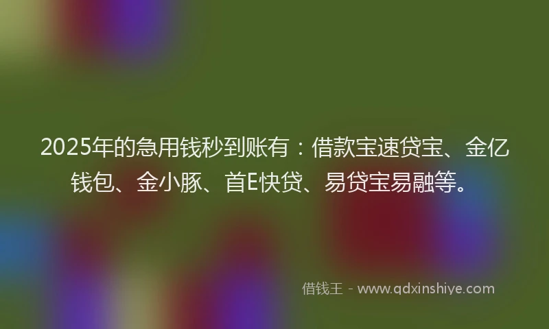 2025年的急用钱秒到账有：借款宝速贷宝、金亿钱包、金小豚、首E快贷、易贷宝易融等。