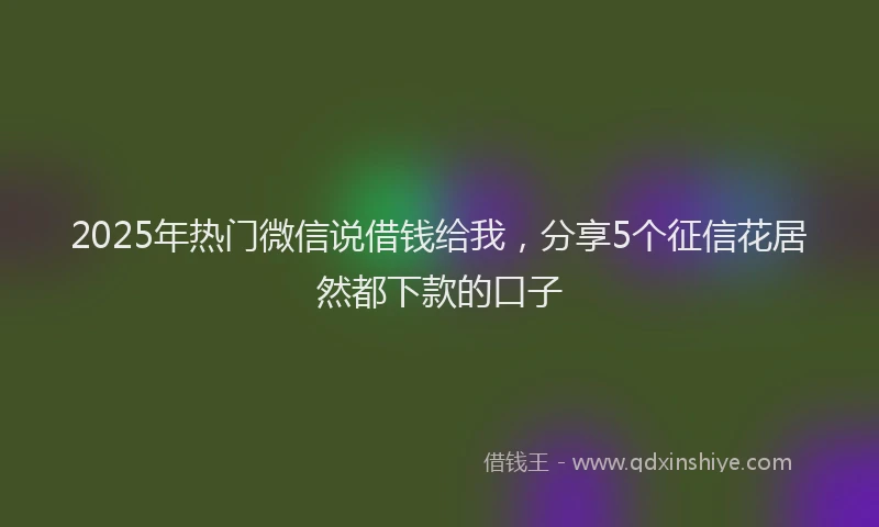 2025年热门微信说借钱给我，分享5个征信花居然都下款的口子