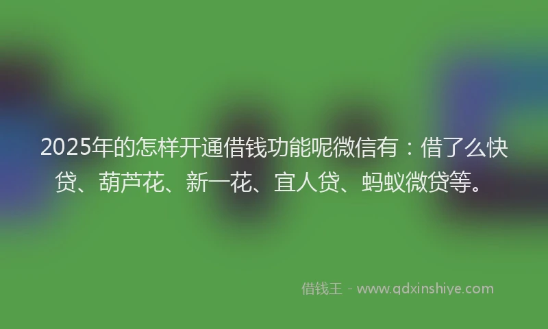 2025年的怎样开通借钱功能呢微信有：借了么快贷、葫芦花、新一花、宜人贷、蚂蚁微贷等。