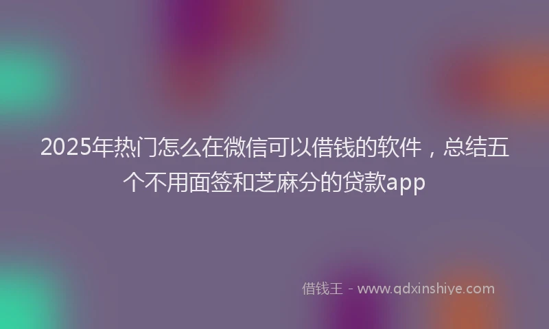 2025年热门怎么在微信可以借钱的软件，总结五个不用面签和芝麻分的贷款app