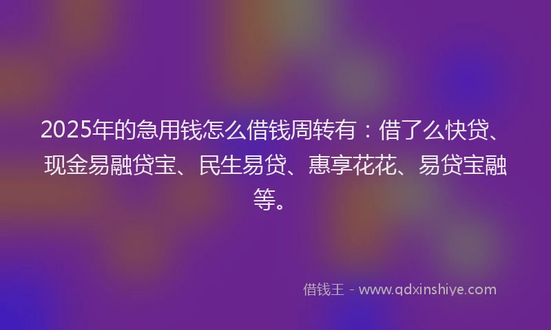 2025年的急用钱怎么借钱周转有：借了么快贷、现金易融贷宝、民生易贷、惠享花花、易贷宝融等。