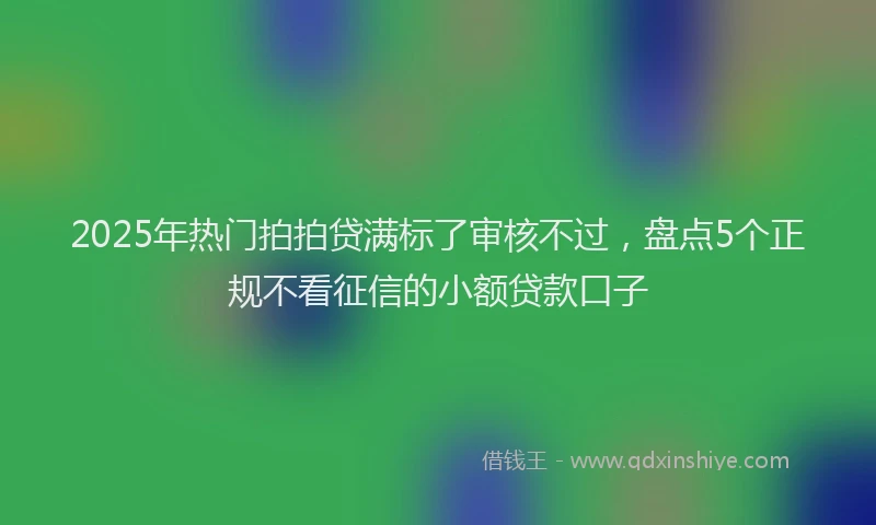 2025年热门拍拍贷满标了审核不过，盘点5个正规不看征信的小额贷款口子