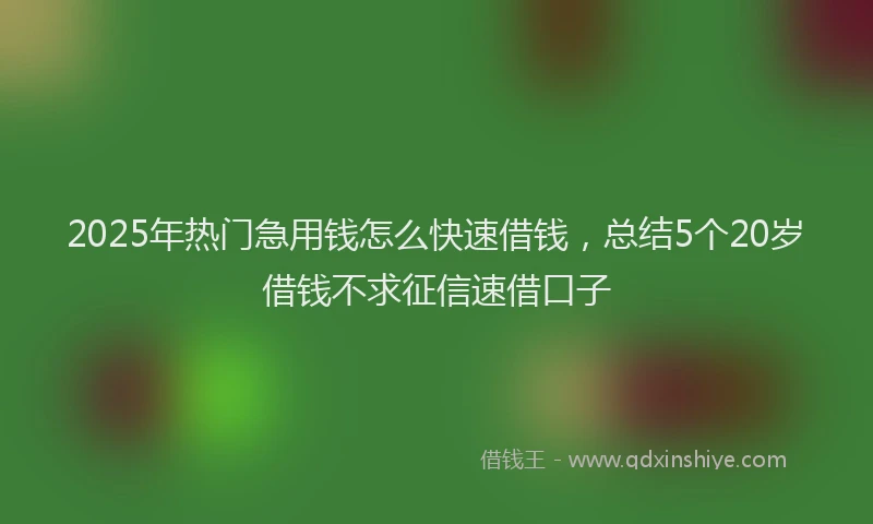 2025年热门急用钱怎么快速借钱，总结5个20岁借钱不求征信速借口子