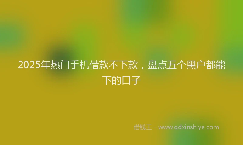 2025年热门手机借款不下款，盘点五个黑户都能下的口子