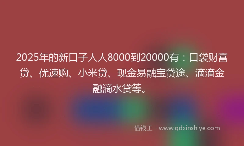2025年的新口子人人8000到20000有：口袋财富贷、优速购、小米贷、现金易融宝贷途、滴滴金融滴水贷等。