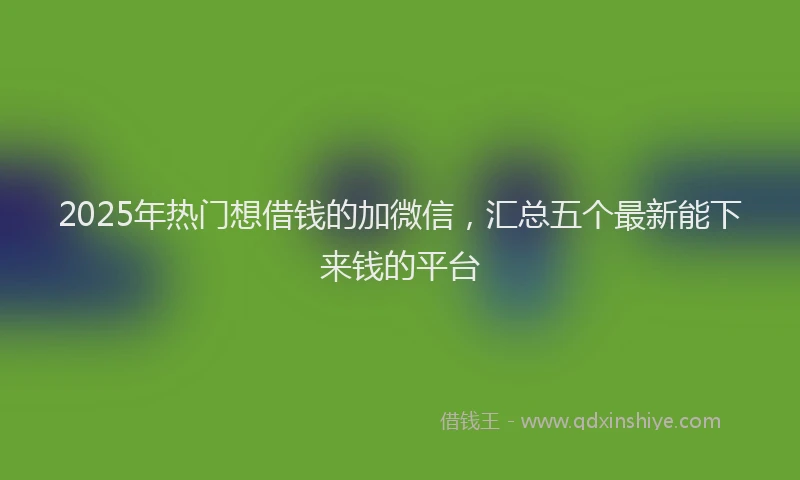 2025年热门想借钱的加微信，汇总五个最新能下来钱的平台