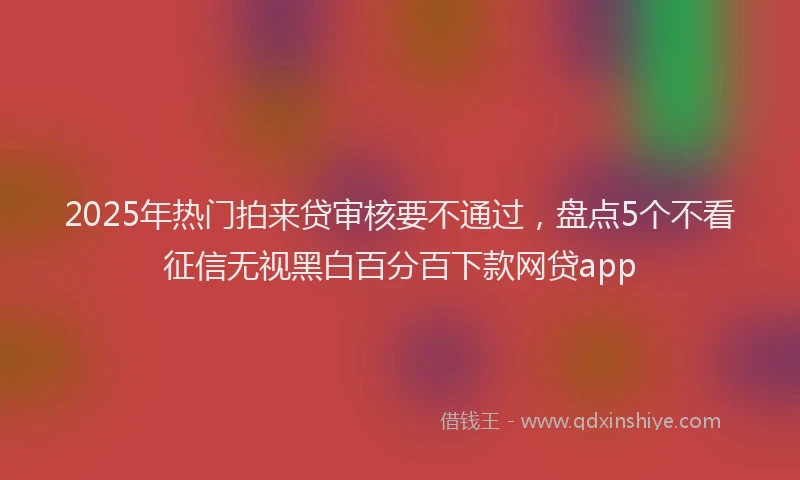 2025年热门拍来贷审核要不通过，盘点5个不看征信无视黑白百分百下款网贷app