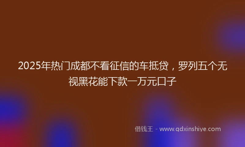 2025年热门成都不看征信的车抵贷，罗列五个无视黑花能下款一万元口子