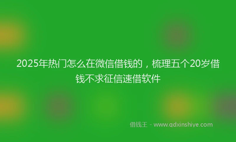 2025年热门怎么在微信借钱的，梳理五个20岁借钱不求征信速借软件