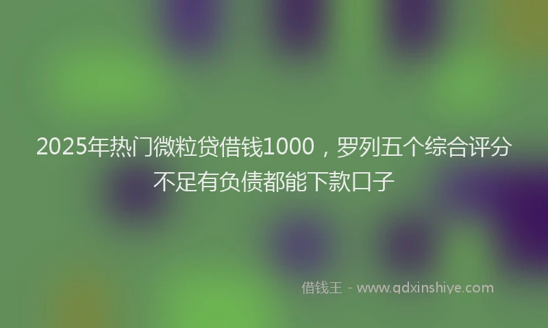 2025年热门微粒贷借钱1000，罗列五个综合评分不足有负债都能下款口子
