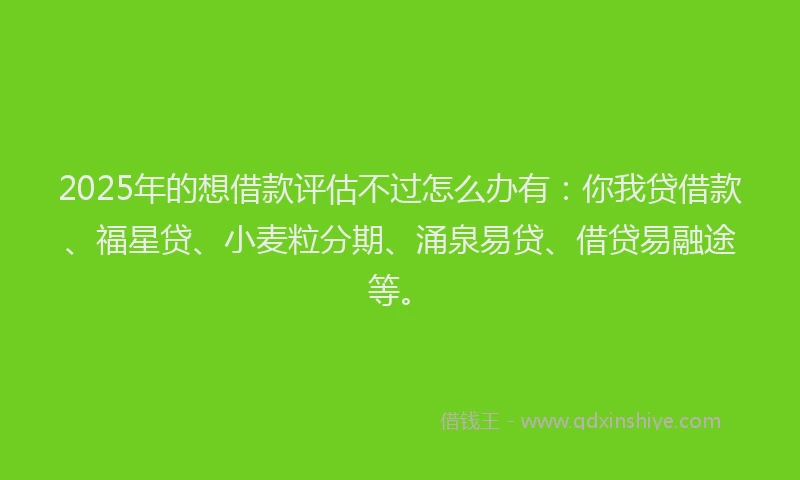 2025年的想借款评估不过怎么办有：你我贷借款、福星贷、小麦粒分期、涌泉易贷、借贷易融途等。
