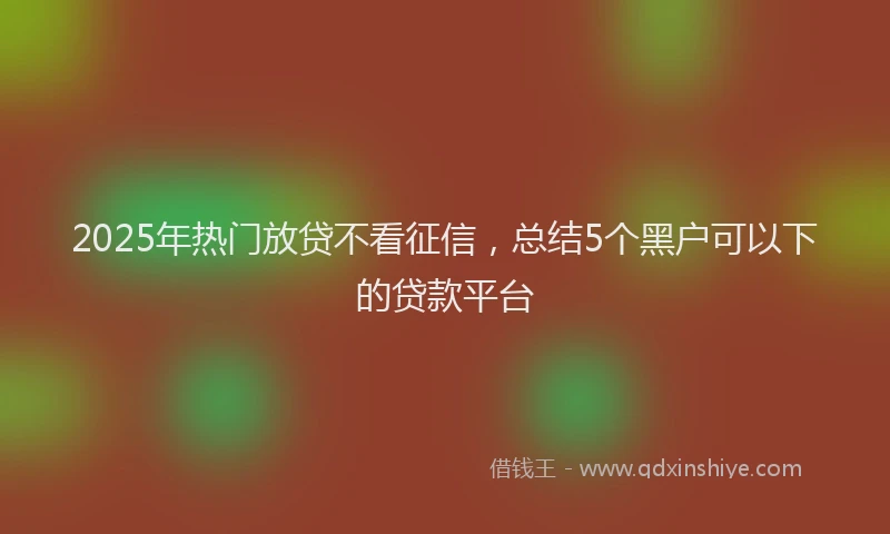 2025年热门放贷不看征信，总结5个黑户可以下的贷款平台