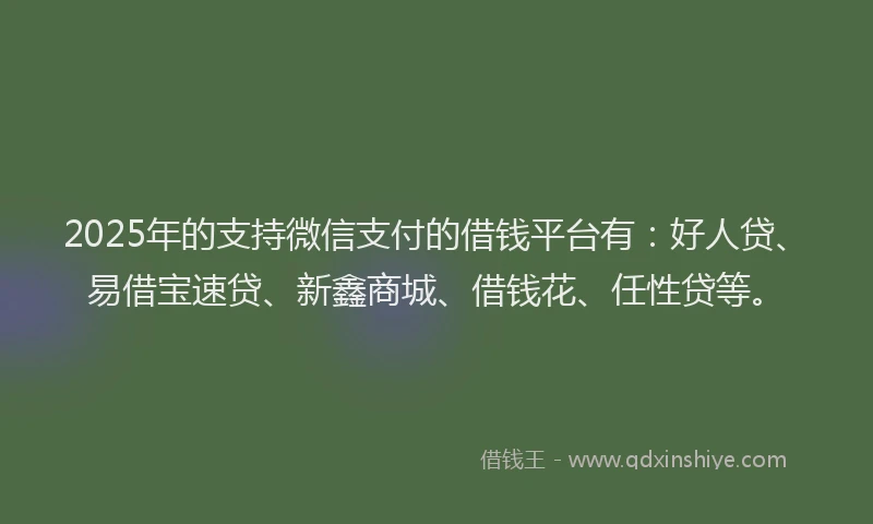 2025年的支持微信支付的借钱平台有：好人贷、易借宝速贷、新鑫商城、借钱花、任性贷等。