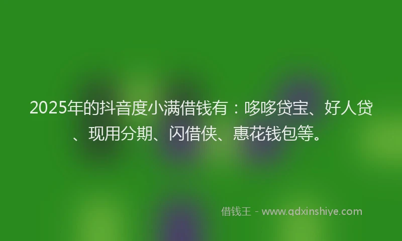 2025年的抖音度小满借钱有：哆哆贷宝、好人贷、现用分期、闪借侠、惠花钱包等。