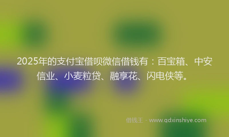 2025年的支付宝借呗微信借钱有：百宝箱、中安信业、小麦粒贷、融享花、闪电侠等。