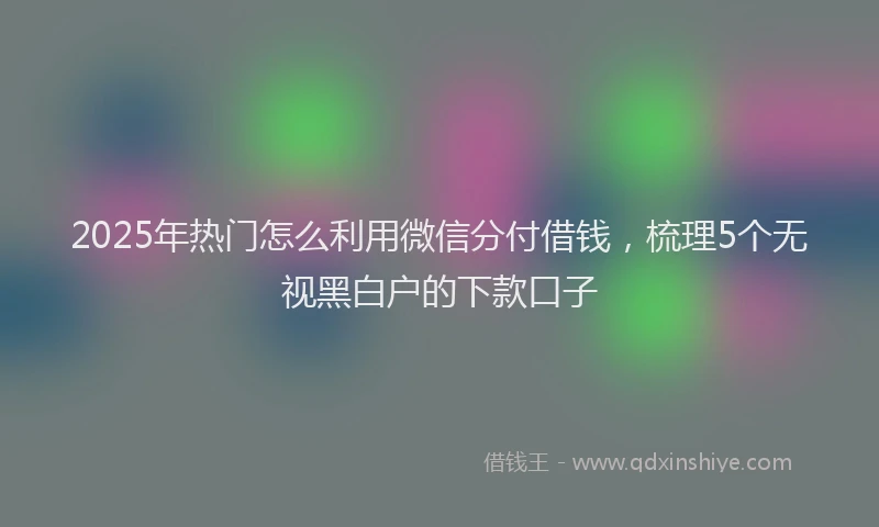2025年热门怎么利用微信分付借钱，梳理5个无视黑白户的下款口子