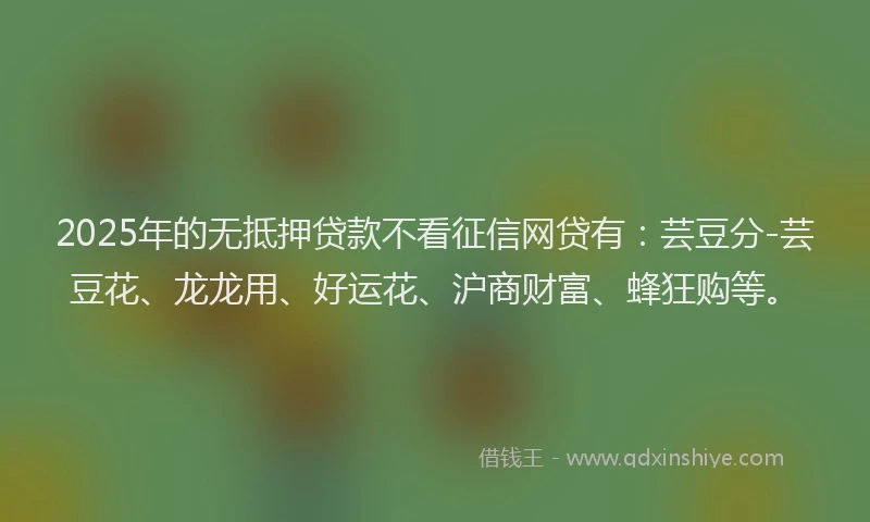 2025年的无抵押贷款不看征信网贷有：芸豆分-芸豆花、龙龙用、好运花、沪商财富、蜂狂购等。