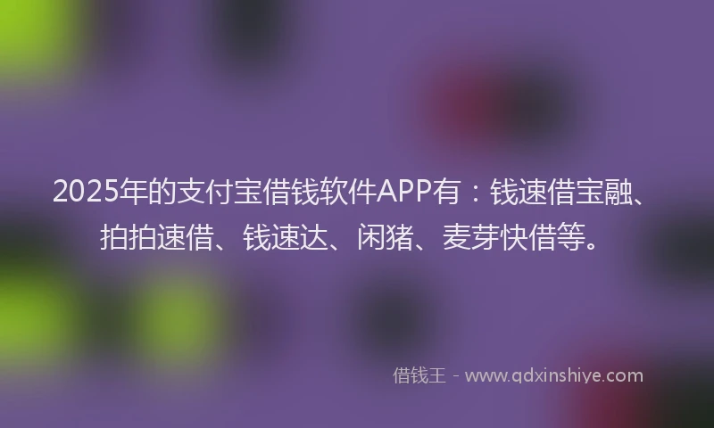 2025年的支付宝借钱软件APP有：钱速借宝融、拍拍速借、钱速达、闲猪、麦芽快借等。