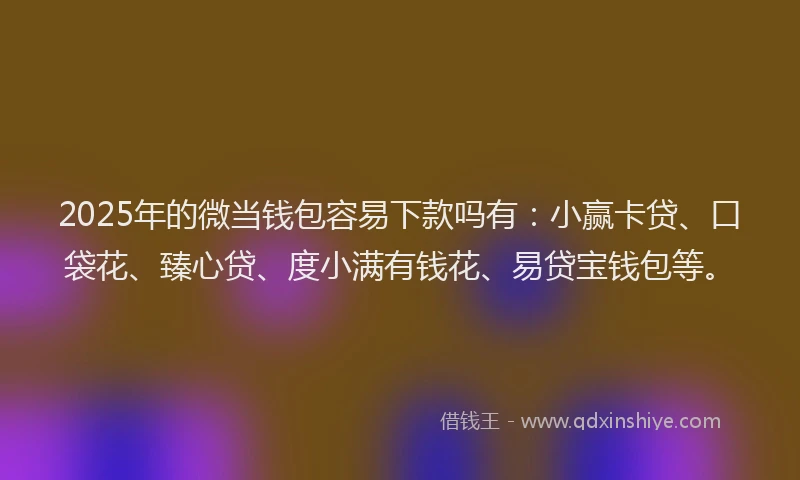 2025年的微当钱包容易下款吗有：小赢卡贷、口袋花、臻心贷、度小满有钱花、易贷宝钱包等。