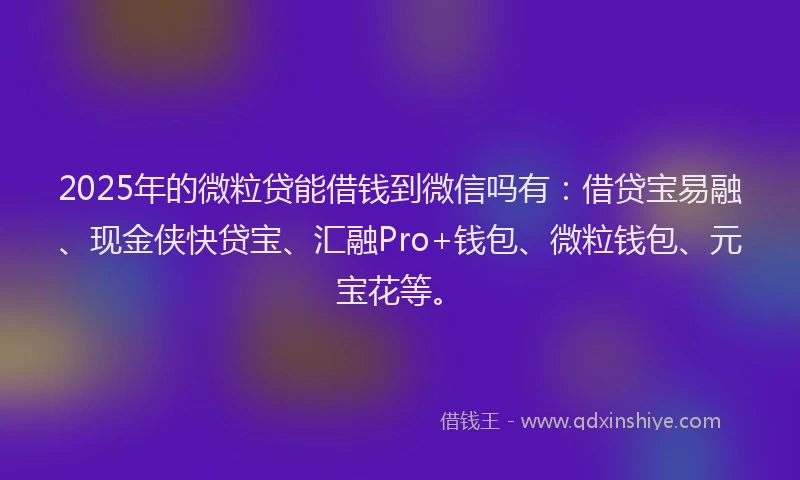 2025年的微粒贷能借钱到微信吗有：借贷宝易融、现金侠快贷宝、汇融Pro+钱包、微粒钱包、元宝花等。