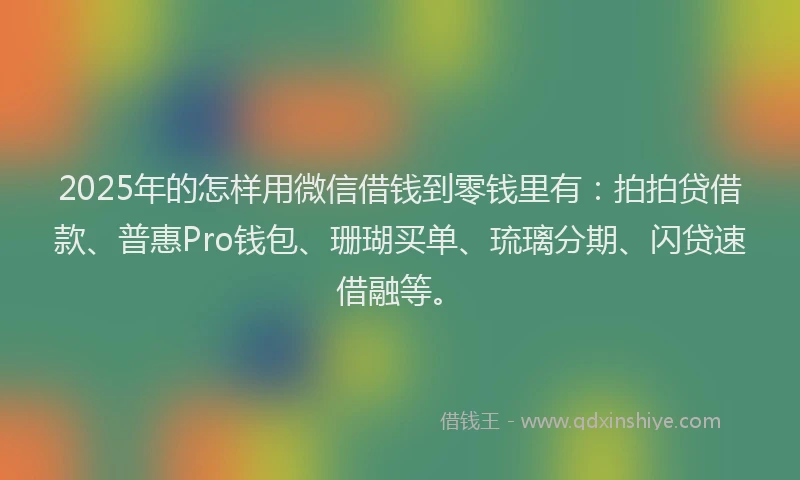 2025年的怎样用微信借钱到零钱里有：拍拍贷借款、普惠Pro钱包、珊瑚买单、琉璃分期、闪贷速借融等。