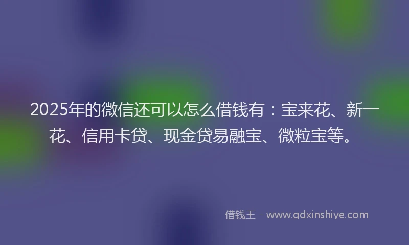 2025年的微信还可以怎么借钱有：宝来花、新一花、信用卡贷、现金贷易融宝、微粒宝等。