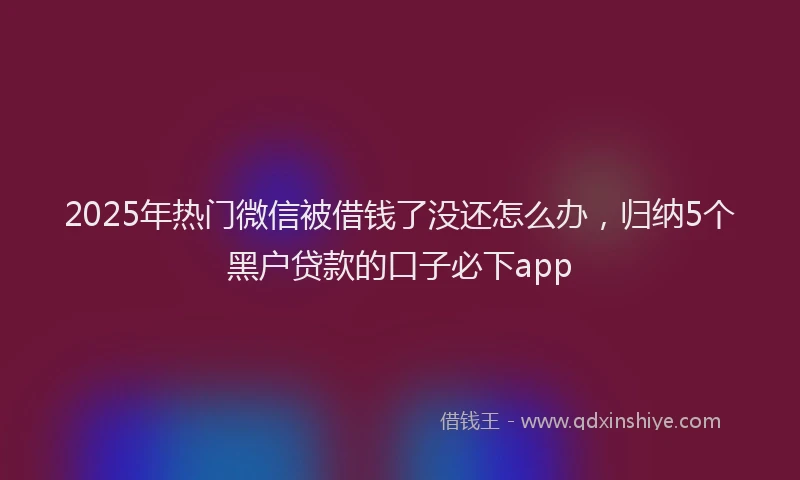 2025年热门微信被借钱了没还怎么办，归纳5个黑户贷款的口子必下app