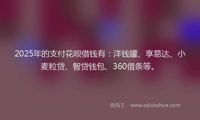 2025年的支付花呗借钱有：洋钱罐、享易达、小麦粒贷、智贷钱包、360借条等。