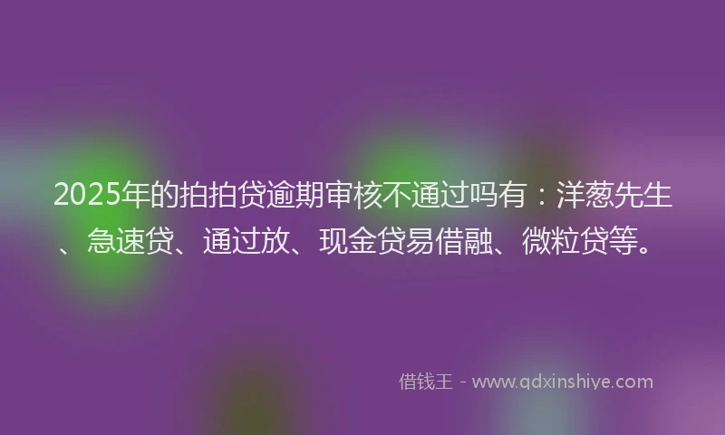 2025年的拍拍贷逾期审核不通过吗有：洋葱先生、急速贷、通过放、现金贷易借融、微粒贷等。