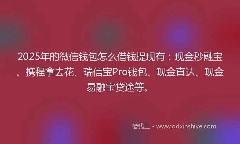 2025年的微信钱包怎么借钱提现有：现金秒融宝、携程拿去花、瑞信宝Pro钱包、现金直达、现金易融宝贷途等。
